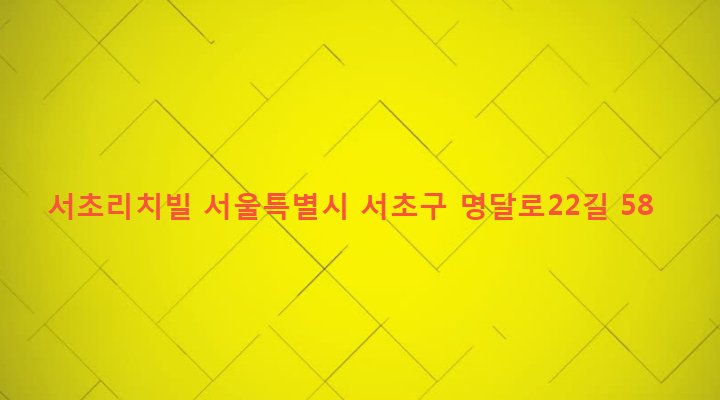 서울특별시 서초구 서초3동 1511-8 서초리치빌