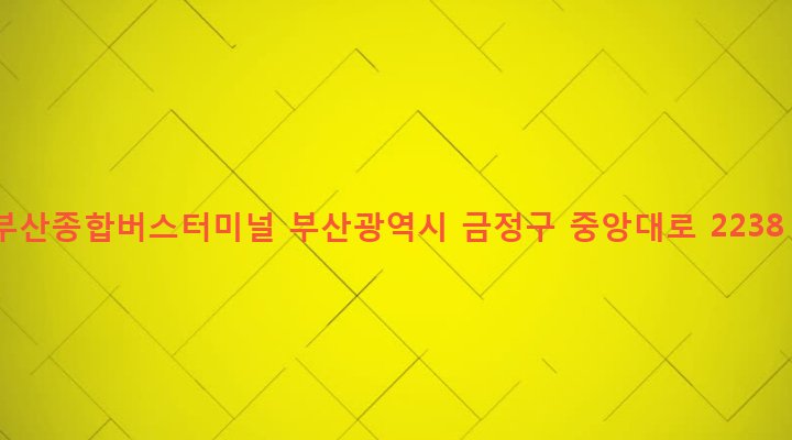 부산광역시 금정구 청룡노포동 133 부산종합버스터미널