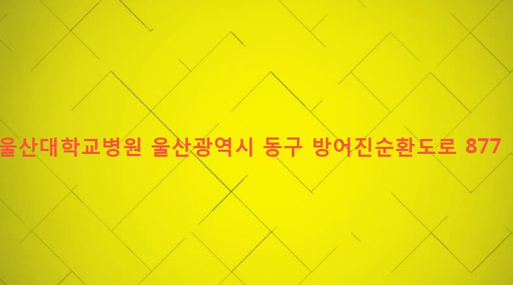 울산광역시 동구 전하1동 290-3 울산대학교병원