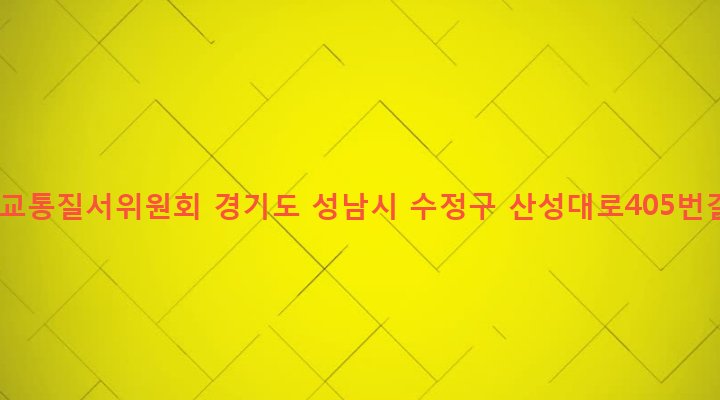 경기도 성남시 수정구 단대동 164-1 단대교통질서위원회