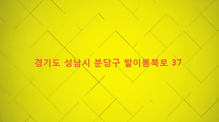 경기도 성남시 분당구 수내3동 116-2 