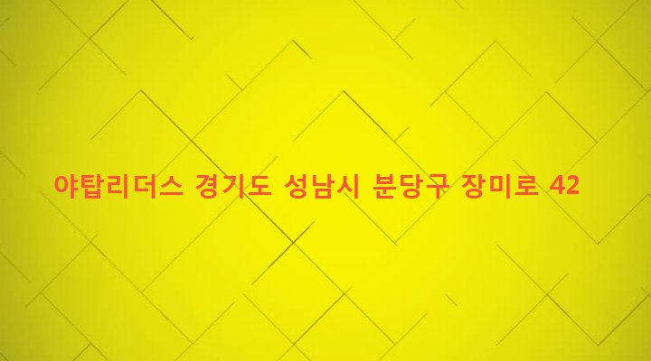 경기도 성남시 분당구 야탑1동 342-1 야탑리더스