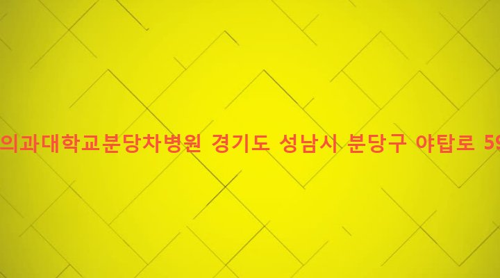 경기도 성남시 분당구 야탑1동 351 차의과대학교분당차병원