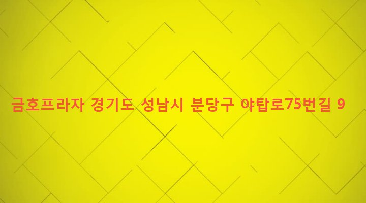 경기도 성남시 분당구 야탑1동 355-3 금호프라자