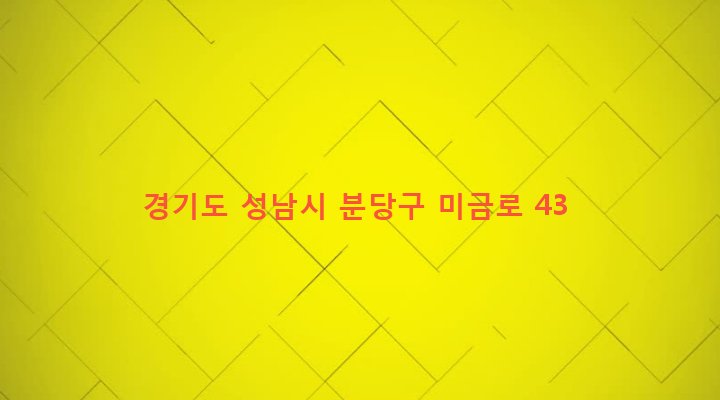 경기도 성남시 분당구 구미동 204-1 