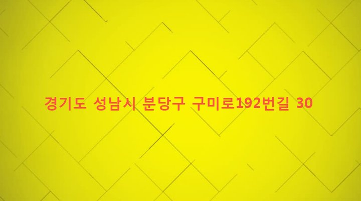 경기도 성남시 분당구 구미동 267-2 