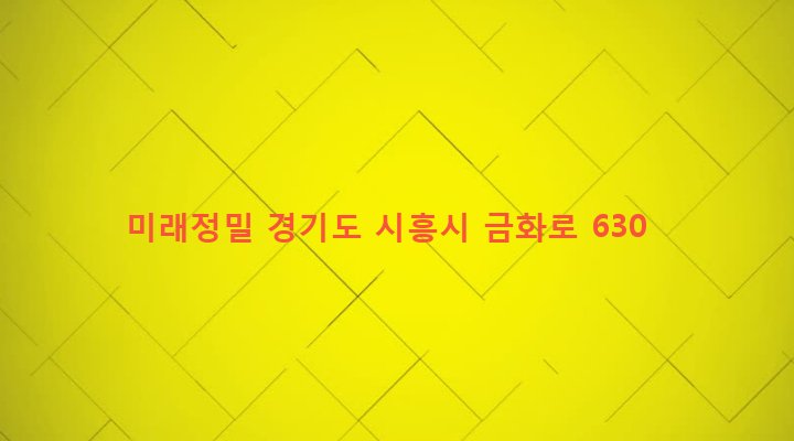 경기도 시흥시 매화동 328-5 미래정밀
