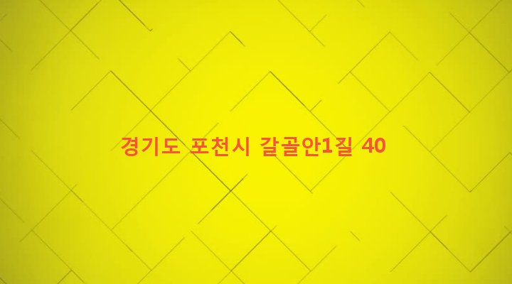 경기도 포천시 이동면 노곡리 501-1 