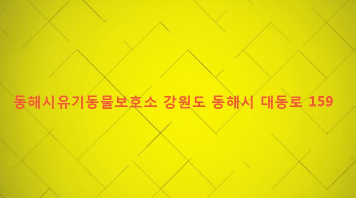강원도 동해시 북평동 51-1 동해시유기동물보호소