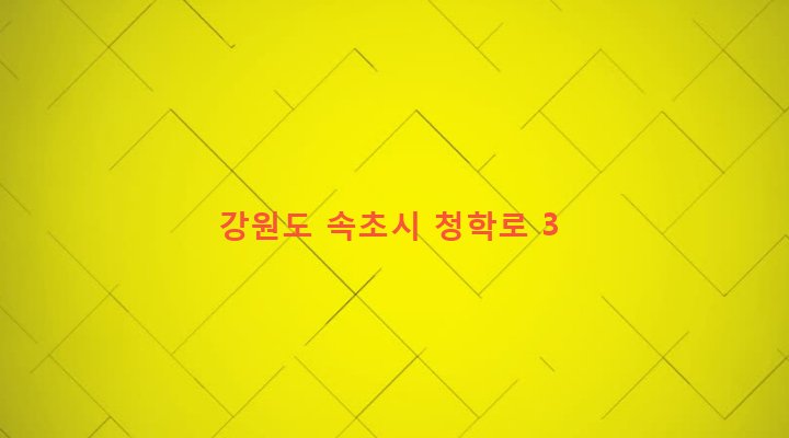 강원도 속초시 교동 482-333 