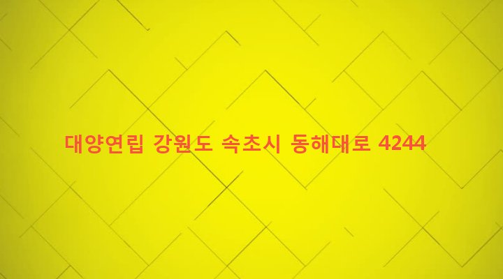 강원도 속초시 노학동 747-2 대양연립