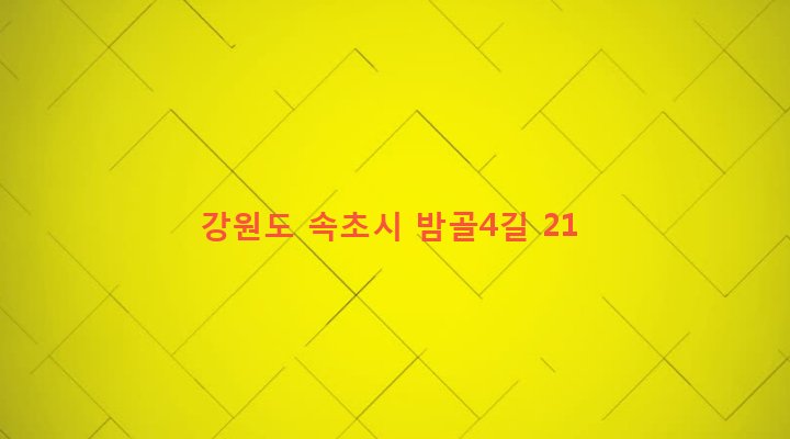 강원도 속초시 노학동 925-2 