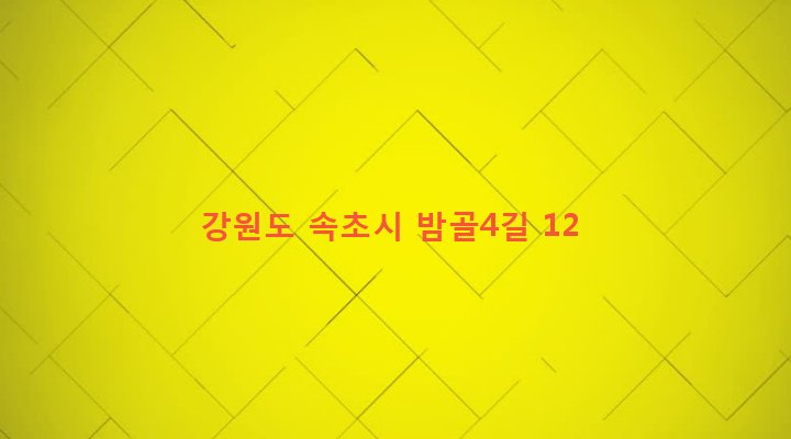 강원도 속초시 노학동 933-18 