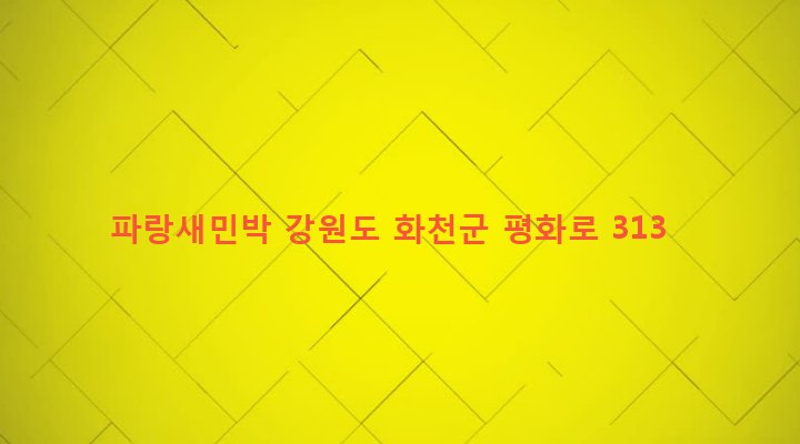 강원도 화천군 화천읍 대이리 364-1 파랑새민박