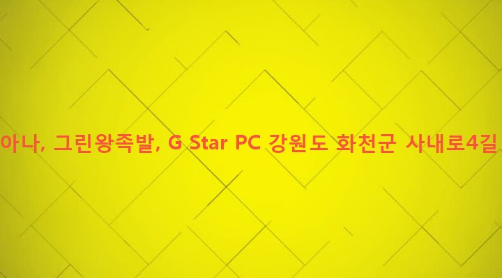 강원도 화천군 사내면 사창리 426-4 코리아나, 그린왕족발, G Star PC