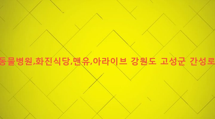 강원도 고성군 간성읍 신안리 162-2 고성동물병원,화진식당,맨유,아라이브