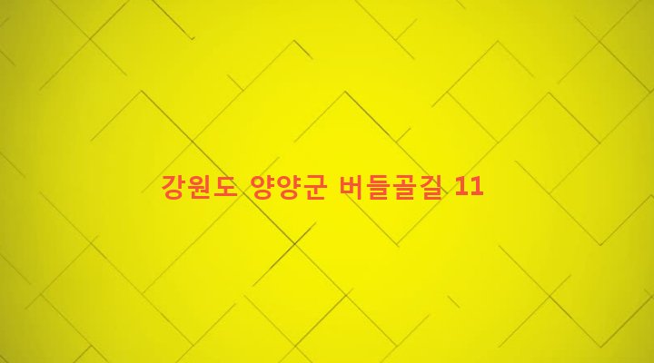 강원도 양양군 서면 내현리 59 