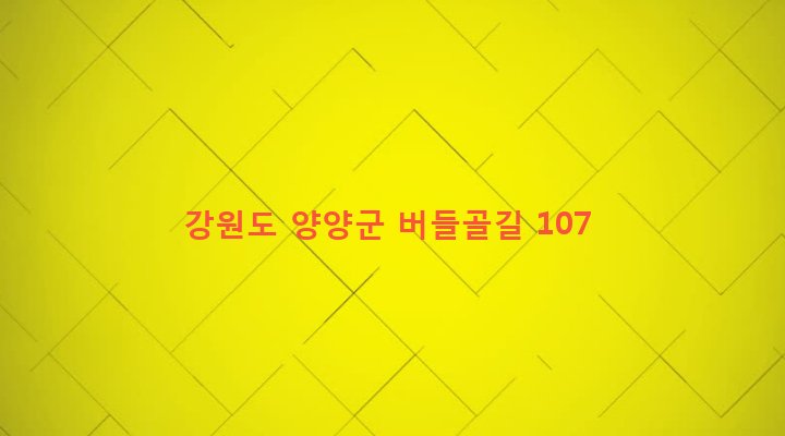 강원도 양양군 서면 내현리 353 