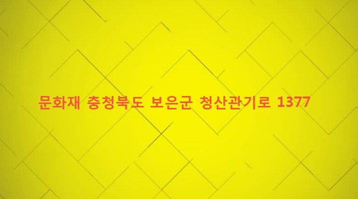 충청북도 보은군 마로면 관기리 458-1 문화재
