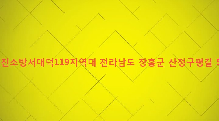 전라남도 장흥군 대덕읍 연정리 394-8 강진소방서대덕119지역대