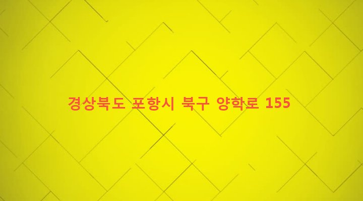 경상북도 포항시 북구 양학동 216-11 