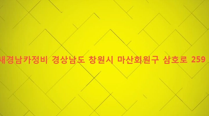 경상남도 창원시 마산회원구 석전1동 272-1 새경남카정비