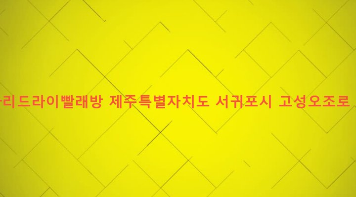 제주특별자치도 서귀포시 성산읍 고성리 1200-4 빛나리드라이빨래방